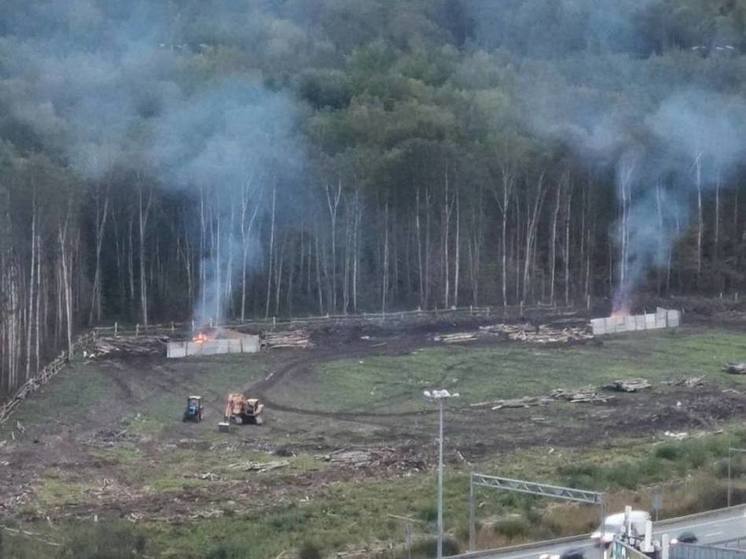 В Кудрово около леса начали сжигать древесину