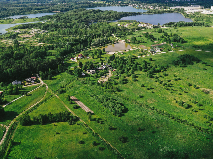 В Новосибирской области участникам СВО бесплатно раздадут землю