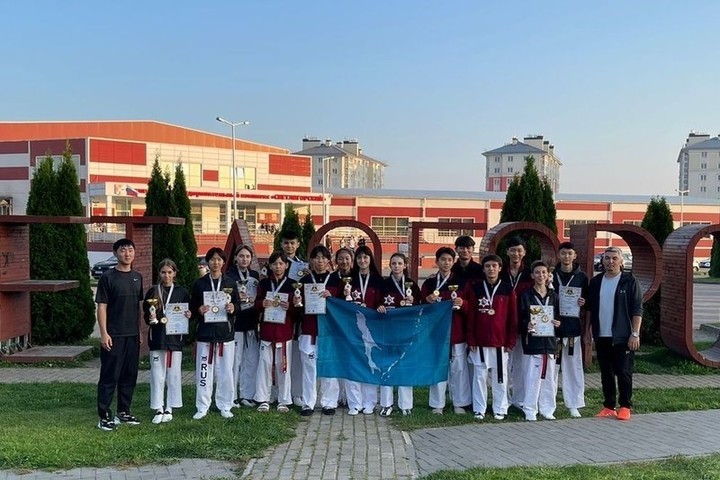 Athletes from Sakhalin won 16 medals at all-Russian taekwondo competitions