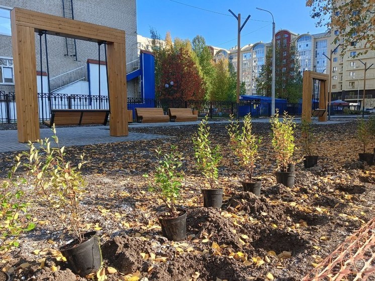 В Нижневартовске в новом сквере высадили деревья