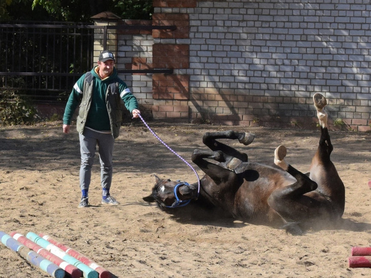 В Ивановской конно-спортивной школе отремонтировали и утеплили крышу