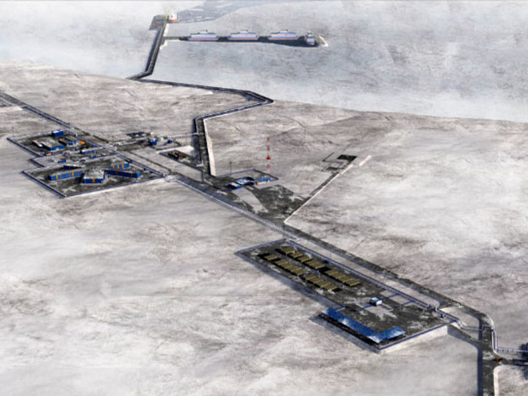 Проект нового морского терминала на Чукотке одобрен экспертизой