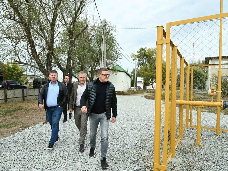 Губернатор Алексей Текслер поручил главам муниципалитетов и членам регионального правительства обратить внимание на ключевые вопросы, касающиеся благополучия области.