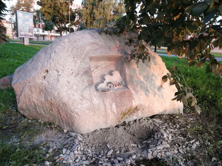 Посмотрите, как создается котопесый дом в Петрозаводске