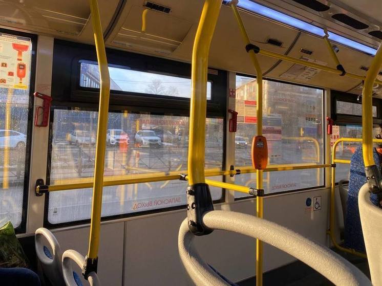 В Петербурге затор на проспекте Ветеранов замедлил движение общественного транспорта