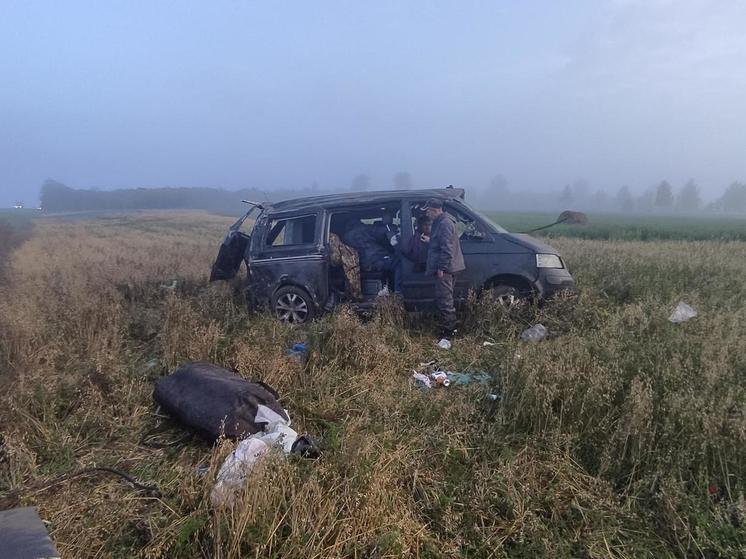 В ДТП в Скопинском районе пострадали четыре человека