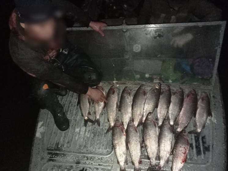 В Приуральском районе молодой и пожилой браконьеры поймали 30 щекуров
