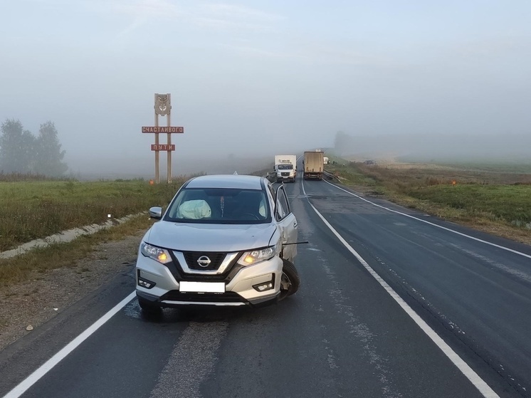 За сутки в Рязанской области 12 человек пострадали в результате ДТП