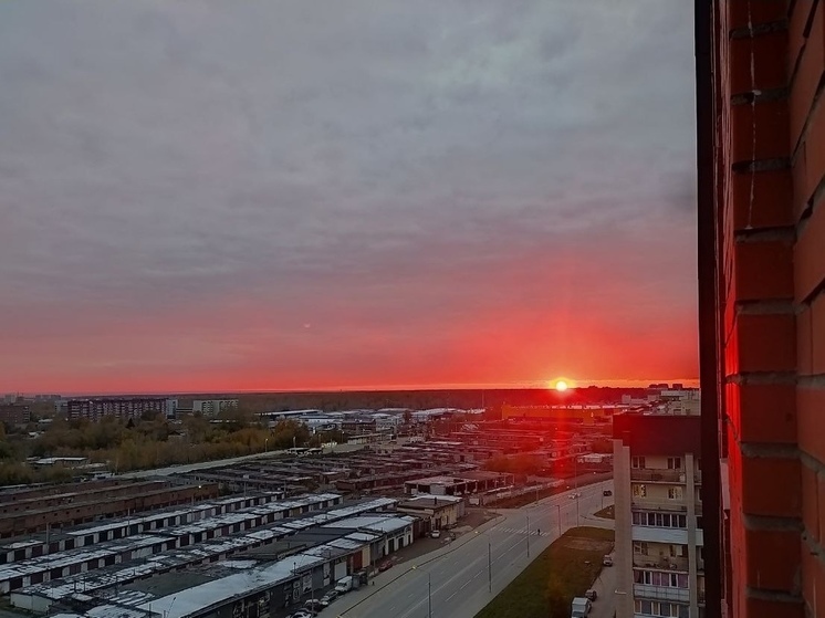 Новосибирск ожидает волну арктического холода