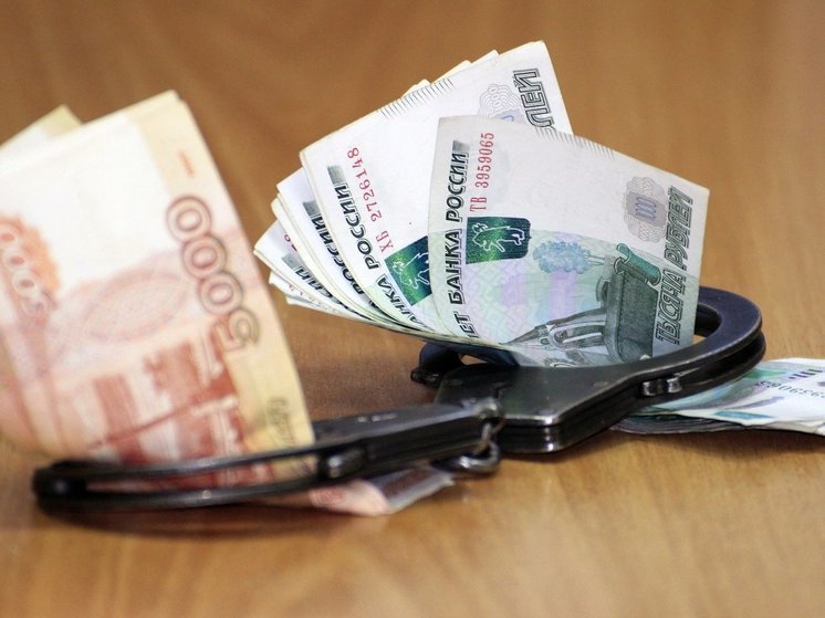 Сотрудница полиции в Воронеже получила взятку в полмиллиона рублей