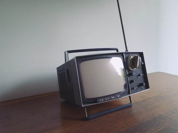 3 кражи телевизоров за сутки раскрыли в Удмуртии