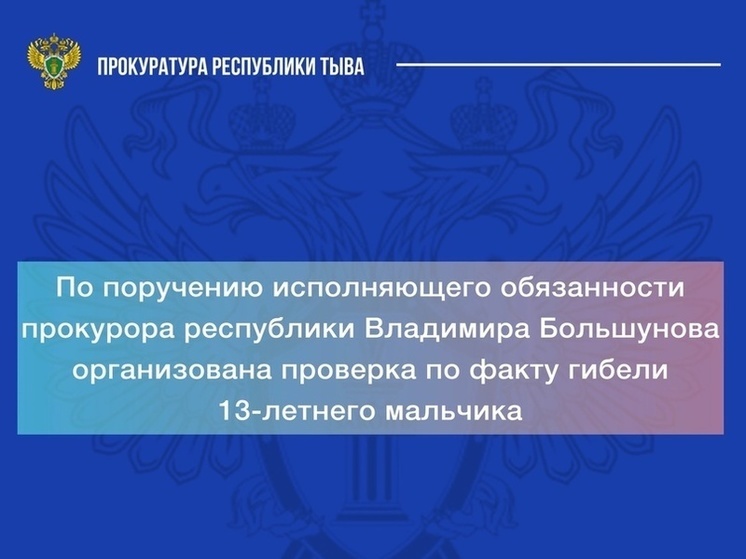 В Туве выясняют обстоятельства смерти 13-летнего мальчика