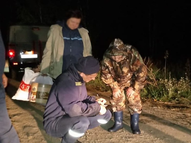 В Челябинской области 79-летняя женщина едва не осталась ночью в лесу