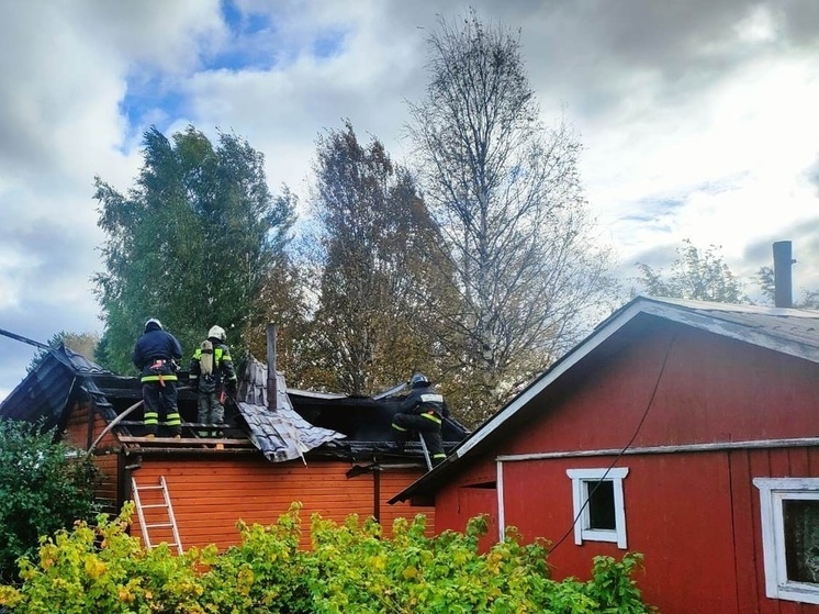 Огонь оставил без крыши баню в Карелии