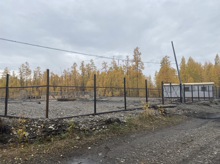В Томпонском районе Якутии строят приют для бездомных животных