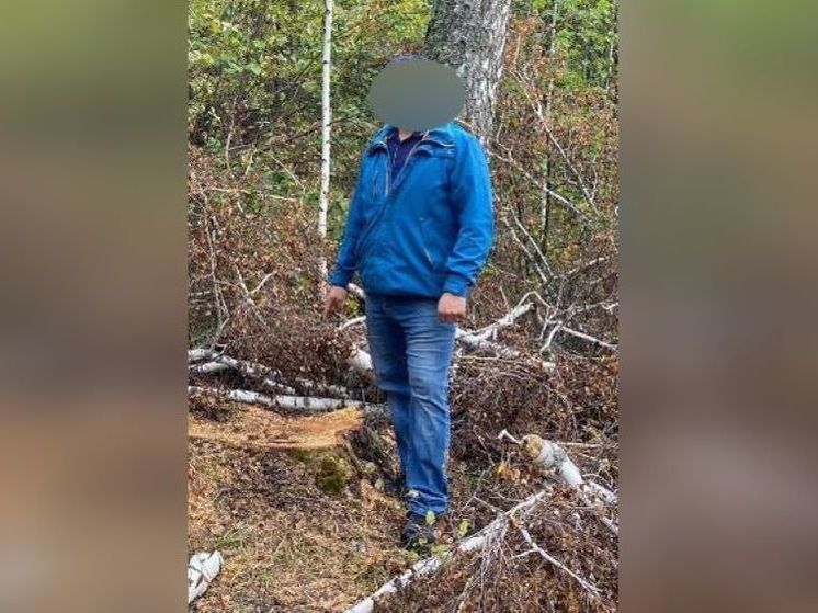 Житель Башкирии попался на незаконной рубке леса