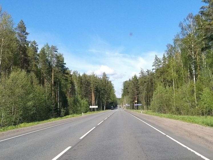 Молодые архитекторы разработают концепцию модернизации Дороги жизни