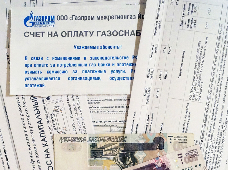 5% семей в Марий Эл получают субсидию на оплату ЖКУ