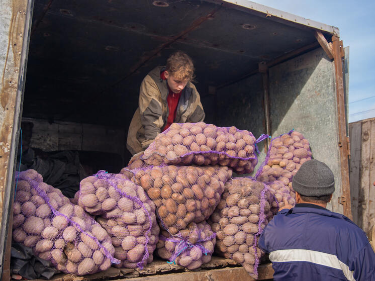 Картошка с капустой упали в цене в Карелии