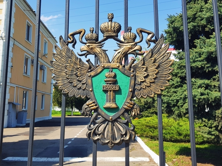 Прокуратура организовала проверку по факту отравления ребёнка в Красноармейском муниципалитете