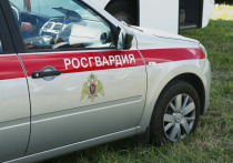 В Московской области сотрудники Росгвардии задержали 45-летнюю женщину, которая во время конфликта ударила ножом своего знакомого