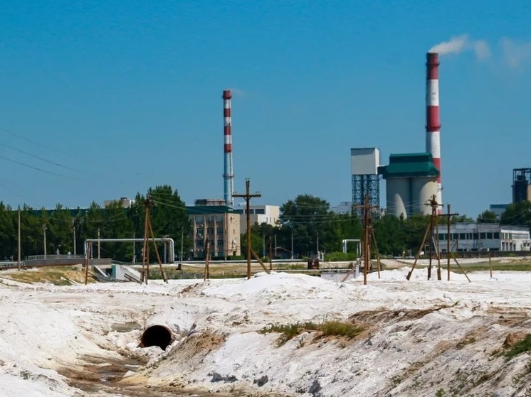 «Кучуксульфат» снова попадет в частные руки после деприватизации