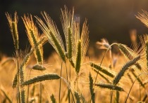 Представитель министерства сельского хозяйства Словакии Кристина Юричкова в беседе с изданием teraz