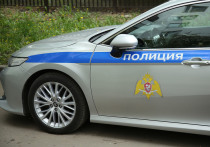 В Екатеринбурге 54-летняя женщина задушила проживавшего с ней 53-летнего мужчину за то, что тот отправлял её в магазин за алкоголем
