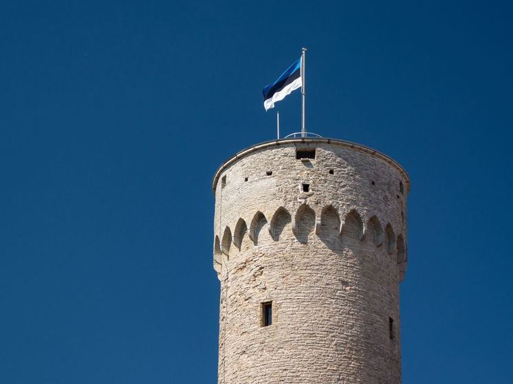 Эстония решила создать первое в НАТО подразделение операторов БПЛА-камикадзе