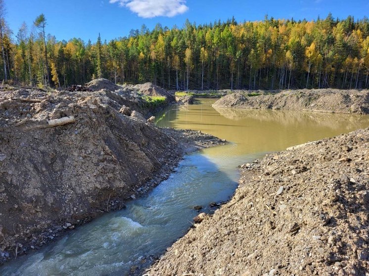 В Красноярском крае приостановят работу золотодобытчиков из-за загрязнения реки