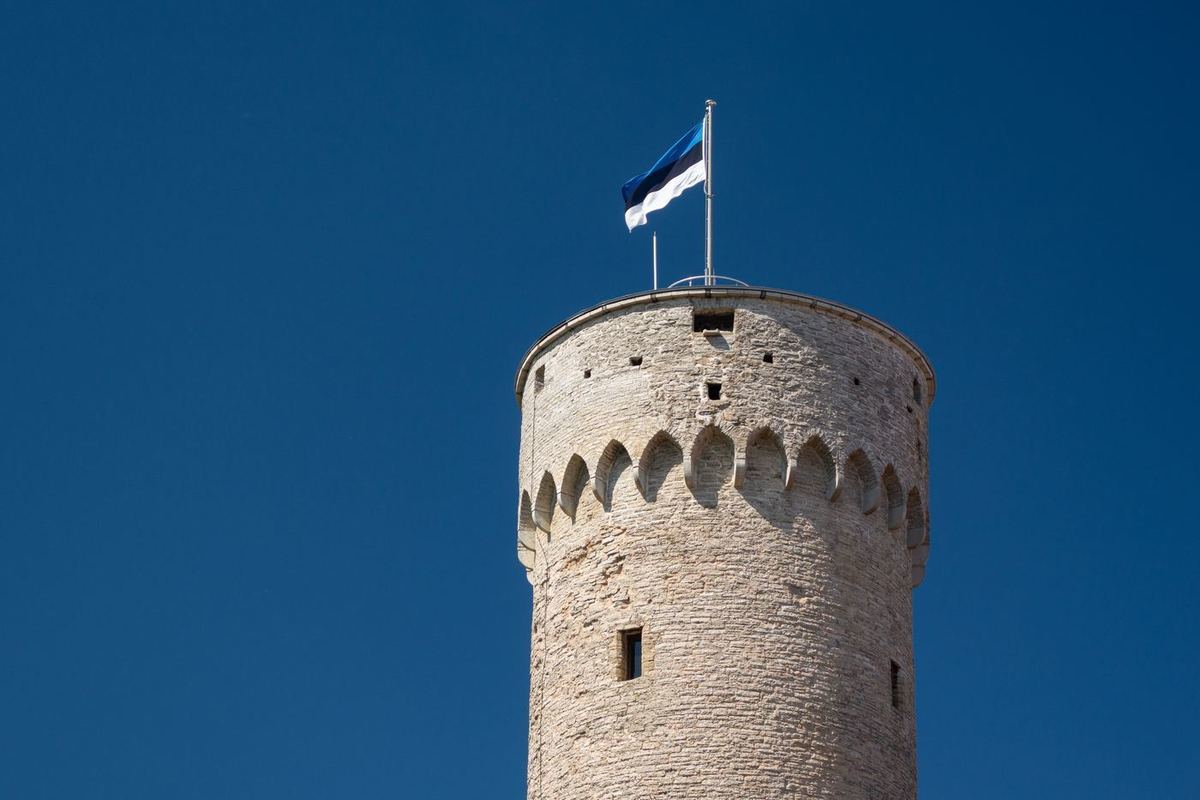 Estonia has decided to create NATO's first kamikaze UAV operator unit