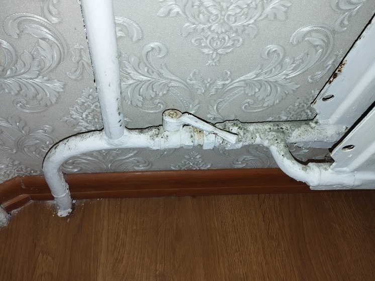 Батареи из-за холода и сырости покрылись плесенью у жителей Костомукши