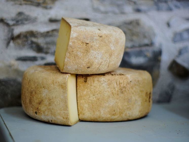 Производство сыра «Янтарный пармезан» запустили в Калининградской области