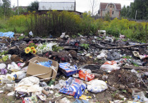 В деревне Курилово городского округа Солнечногорск на одном из участков незаконно сортировали мусор