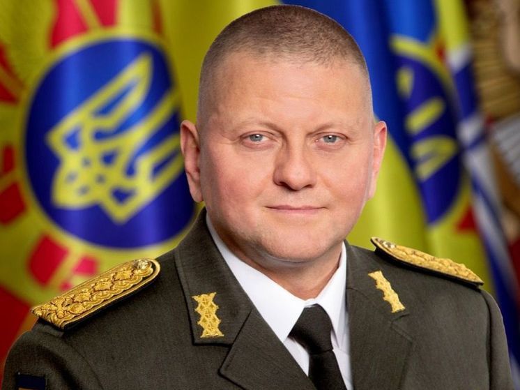 Би-би-си: Залужный может стать фигурантом дела из-за сдачи юга