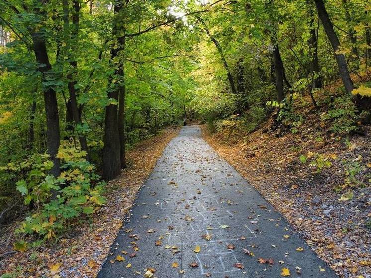 Ратмир Мавлиев предложил уфимцам выбрать название новое тропе здоровья