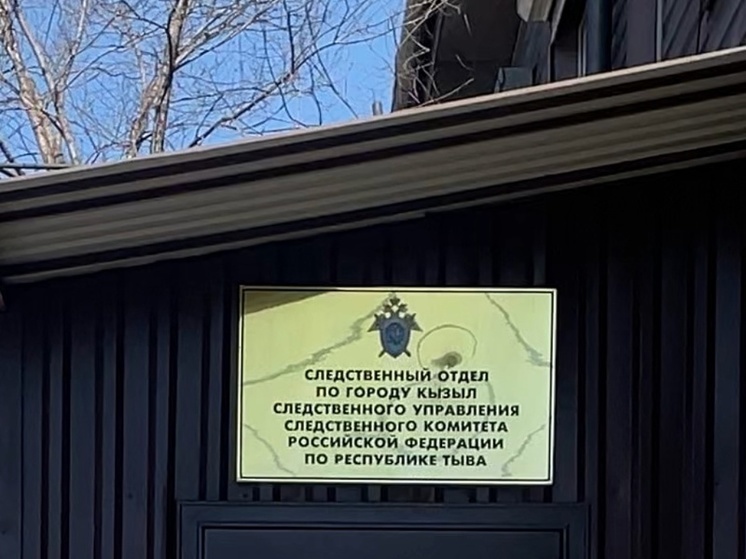 В Туве следователи проверяют информацию о гибели малолетнего