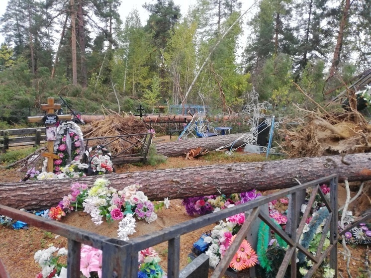 Ураганный ветер разрушил кладбище в райцентре Карелии