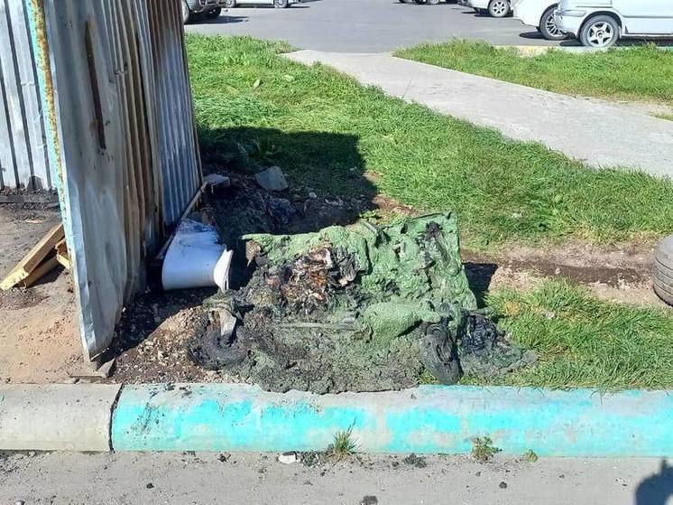 Вандалы сожгли девять мусорных контейнеров в Невельском районе