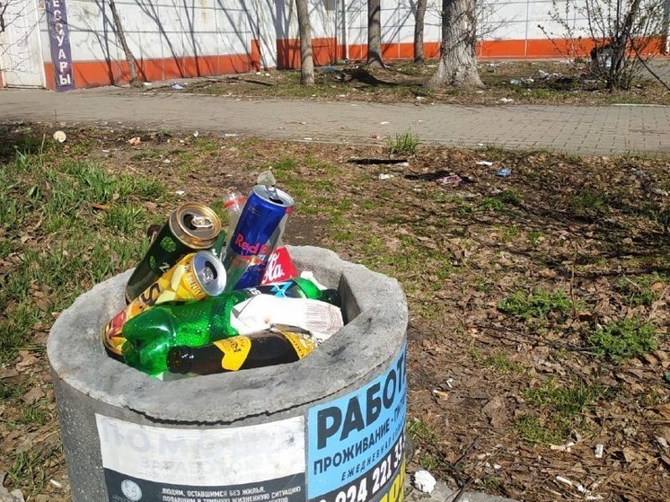 В Хабаровске пройдет экологический квест по сбору мусора  «Чистые игры»