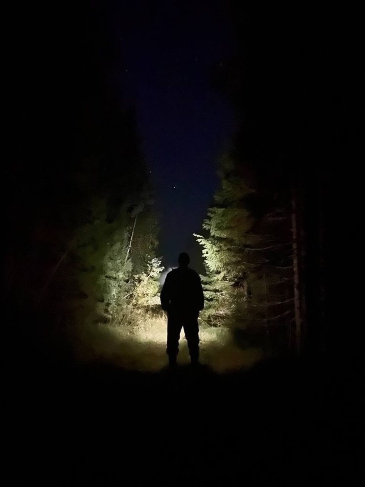 Спасатели нашли мужчину, который три дня назад ушел за грибами в районе Карелии