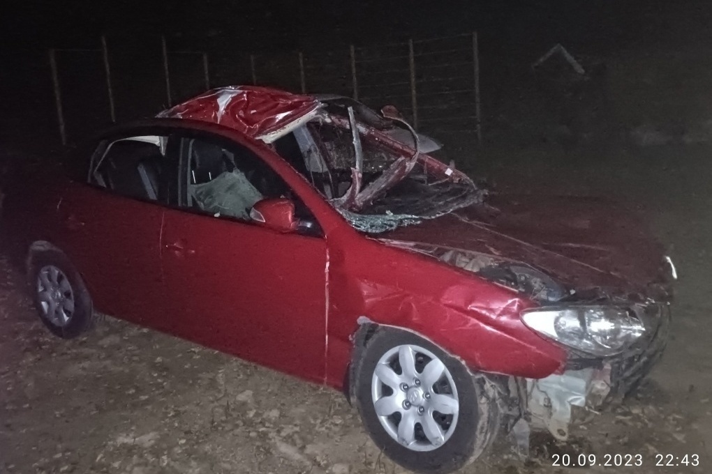 Костромичка серьезно пострадала при столкновении автомобиля «Hyundai Elantra» с лосем