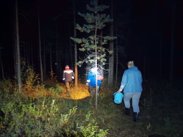 Спасатели помогли женщине, потерявшейся в лесу возле поселка Мга