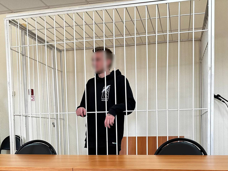 Молодой мужчина, перевозивший через Тюменскую область наркотики, приговорен к 11 годам тюрьмы