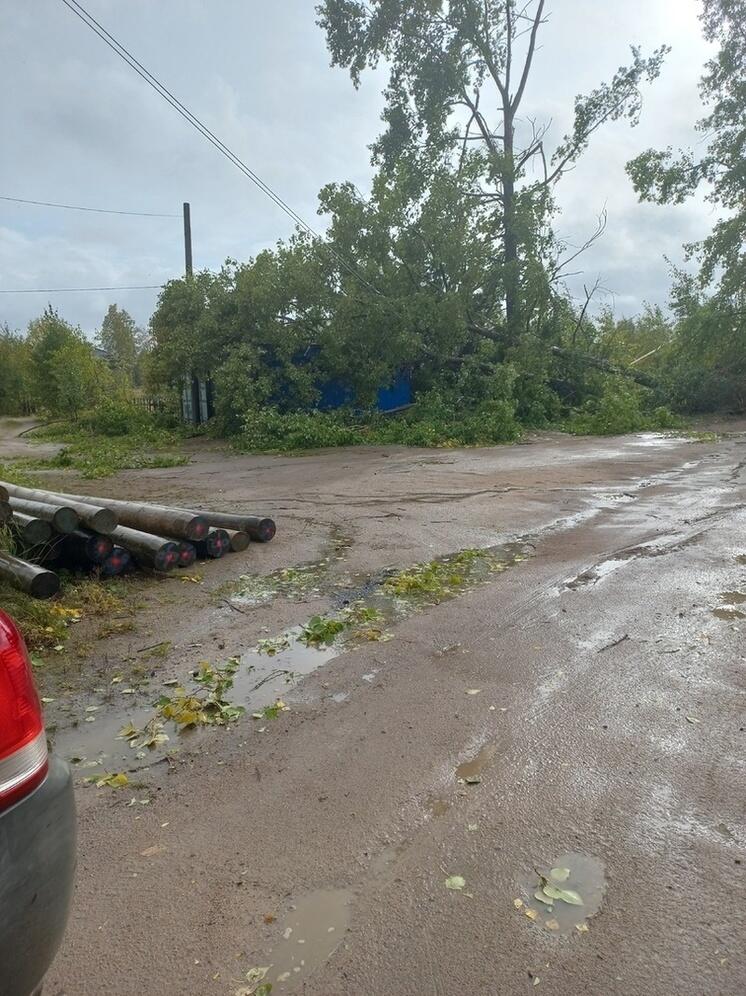 Поломанные штормом деревья завалили офис сетевой компании в поселке Карелии