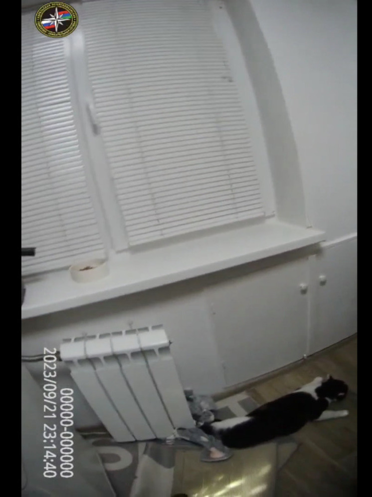 Спасатели Петрозаводска пришли на помощь коту, застрявшему в батарее