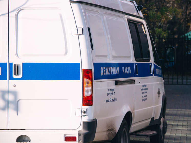 Рязанец получил условный срок за нападение на полицейского