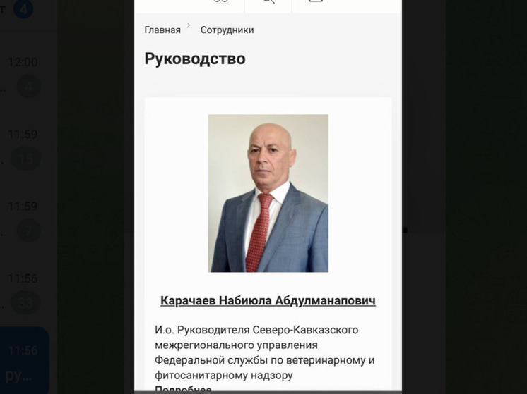 Экс-министр из Дагестана получил новую должность