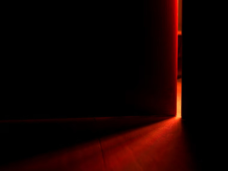 Труп просидел в чулане московской квартиры полгода