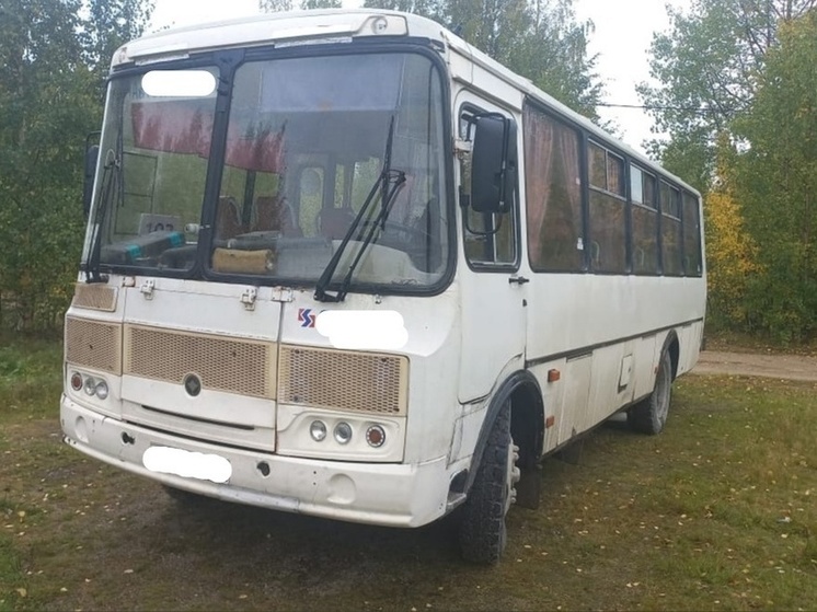 ПАЗик в Карелии улетел в кювет, пострадала женщина